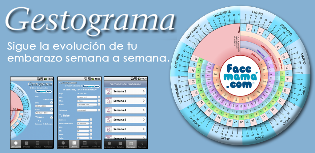 Calculadora de embarazo: Conoce nuestro gestograma